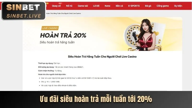 Tổng quan các quy tắc chung của 8kbe web